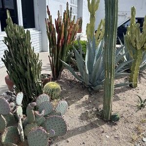 Meet your Posher, Mish